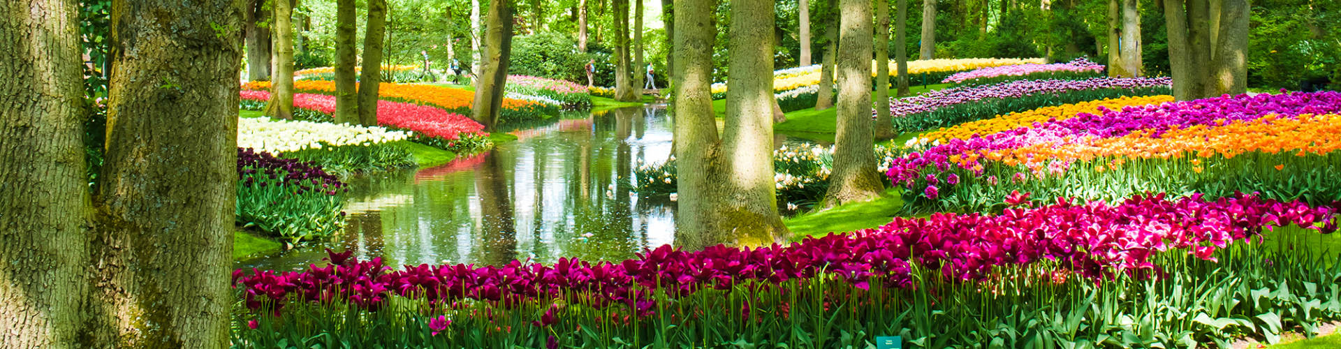 Colourful tulip displays along the canal at Keukenhof Gardens, Netherlands