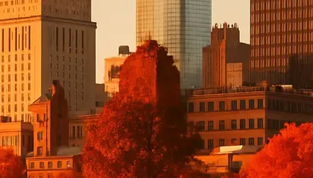 Colours of Eastern US / Canada – NSC