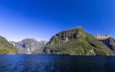 Doubtful Sound and West Coast Odyssey – MDS