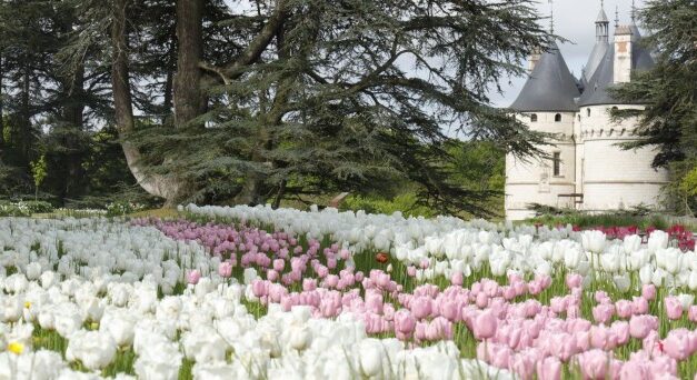 French Flower Show – FFS