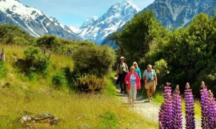 Southern Beauty Tour – MSB