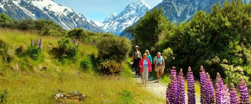 Southern Beauty Tour – MSB