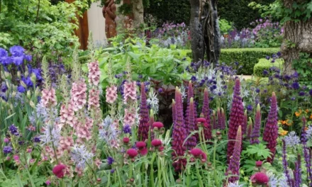 European Gardens and Chelsea Flower Show Tour – CFE