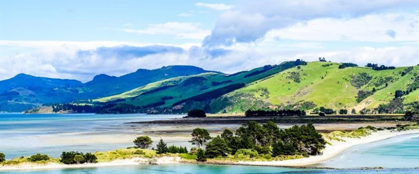 Bluff Oyster Festival, The Catlins, Stewart Island – BOF