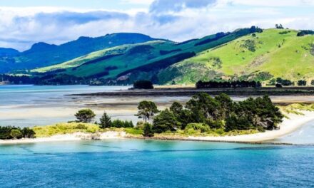 Southern Odyssey and Stewart Island – MSO
