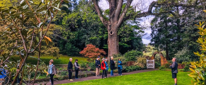 Taranaki Rhododendron Gardens – MTR