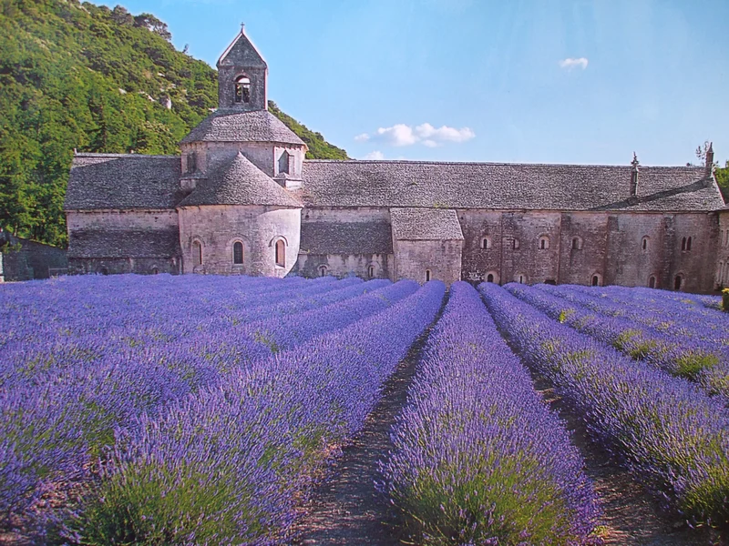 Sénanque Abbey-SouthFrance