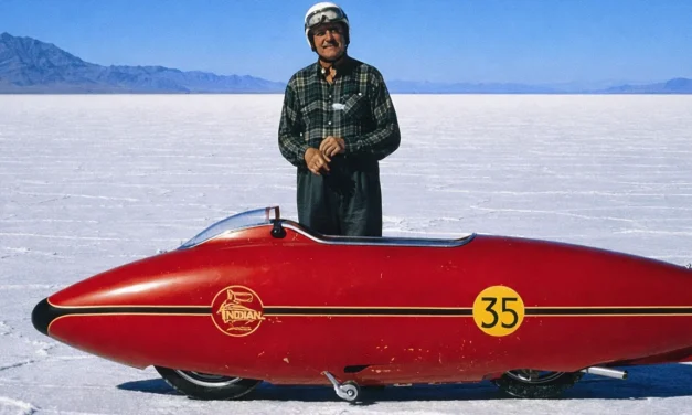 Bluff Oyster Festival Mini-tour – BOM