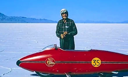 Bluff Oyster Festival Mini-tour – BOM