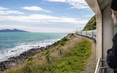 Mid Year Christmas in New Zealand – MYX