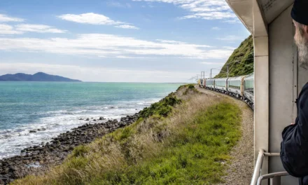 Mid Year Christmas in New Zealand – MYX