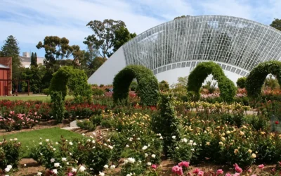 South Australia heritage, art & gardens – SAG