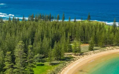 Norfolk Island Gardens, History & Nature – NIS