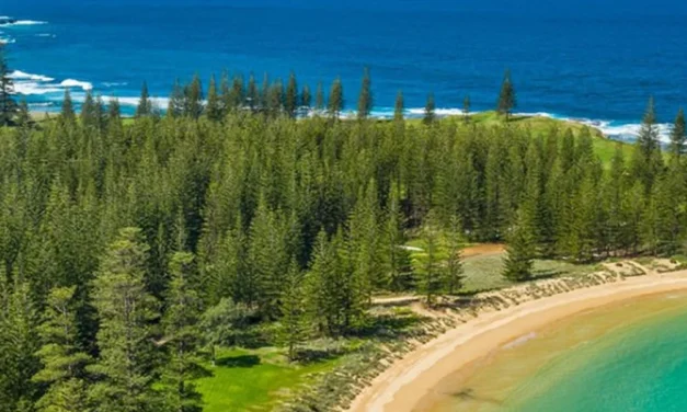 Norfolk Island Gardens, History & Nature – NIS