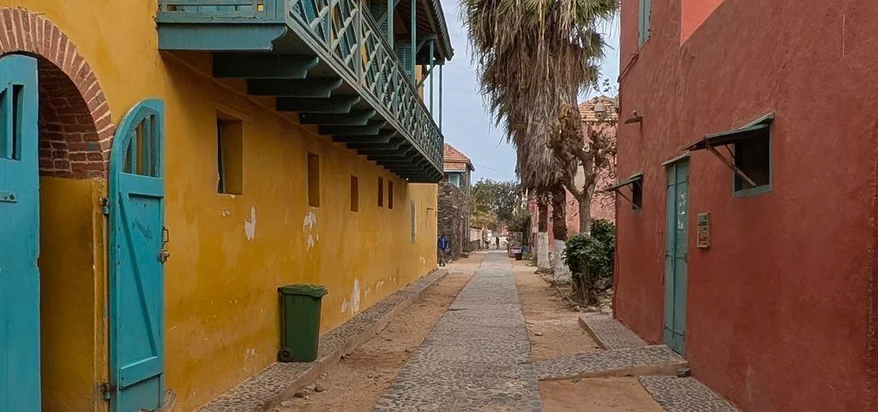 Discover Senegal plus Jazz – DSJ