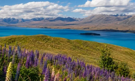 New Zealand gardens & festival tour – NGF