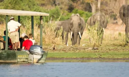 Malawi & Zambia Safari Tour – MZS