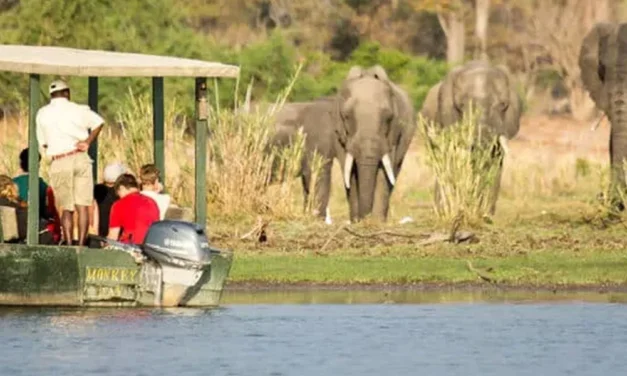 Malawi & Zambia Safari Tour – MZS